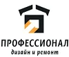 Профессионал