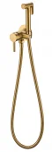 Смеситель встраиваемый с гигиеническим душем Grocenberg GB001GL золотой брашированный