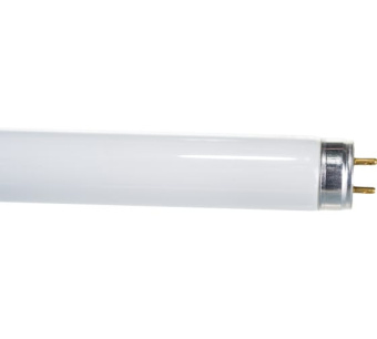 Купить Люминесцентная лампа L 18W/765 G13 дневного цвета OSRAM